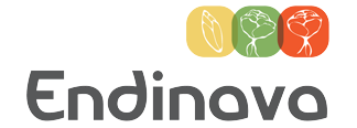 Logo - ENDINAVA S.A.T.